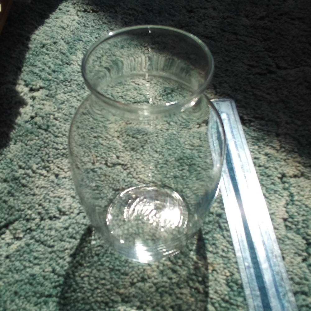 Glass Curvy Vase